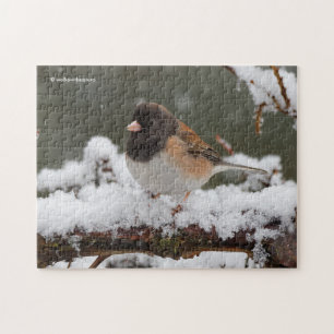 Donkereogige Junco Sparrow Songbird op Snowy Fence Legpuzzel