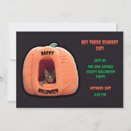 Donkergrijze en oranje pompoen kitten Halloween Kaart