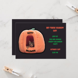 Donkergrijze en oranje pompoen kitten Halloween Kaart