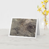 Donkergrijze rots, stenen achtergrond kaart (Gele Bloem)