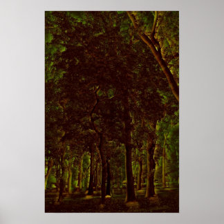 Donkergroen bos poster