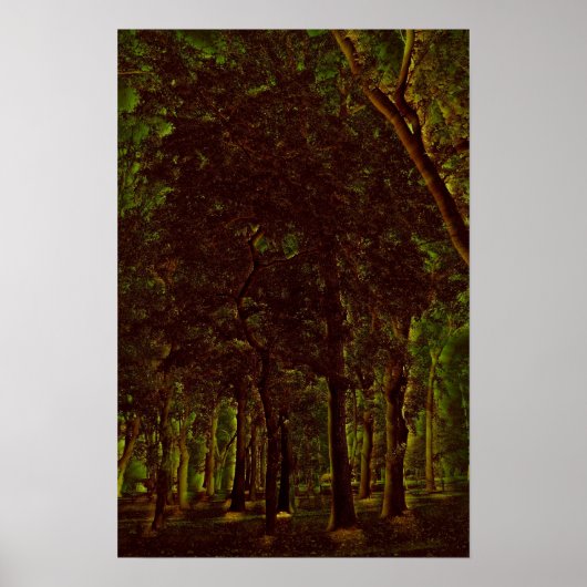 Donkergroen bos poster (Voorkant)