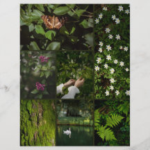 Donkergroen Natuur Core Scrapbooking Papier