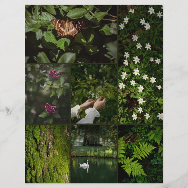 Donkergroen Natuur Core Scrapbooking Papier (Voorkant)