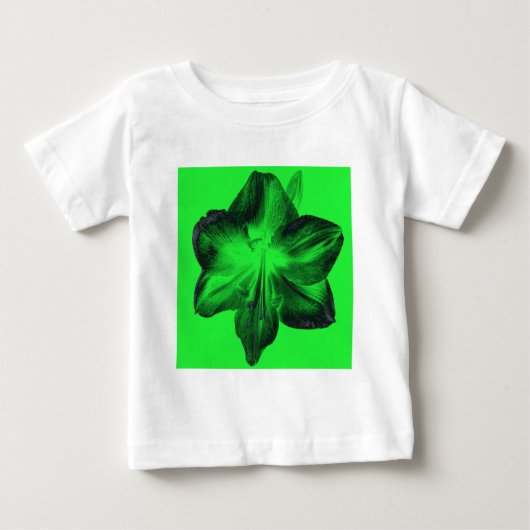 Donkergroen op lichtgroene amaryllis (Voorkant)