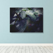 Donkergroene bladeren en regendruppels canvas afdruk (Insitu (Houten vloer))
