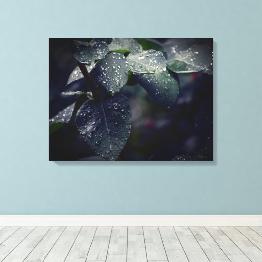 Donkergroene bladeren en regendruppels canvas afdruk (Insitu (Houten vloer))
