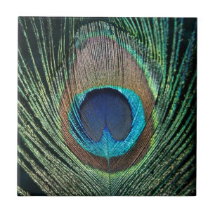 Donkergroene Peacock Feather Tile Tegeltje