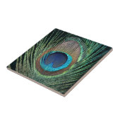 Donkergroene Peacock Feather Tile Tegeltje (Zijkant)