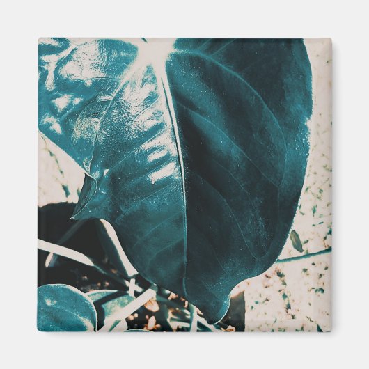 Donkergroene Plant Blad Magneet (Voorkant)