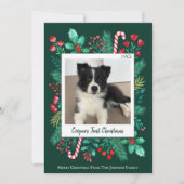 Donkergroene Puppy's Eerste Kerstdag Foto Feestdagenkaart (Voorkant)