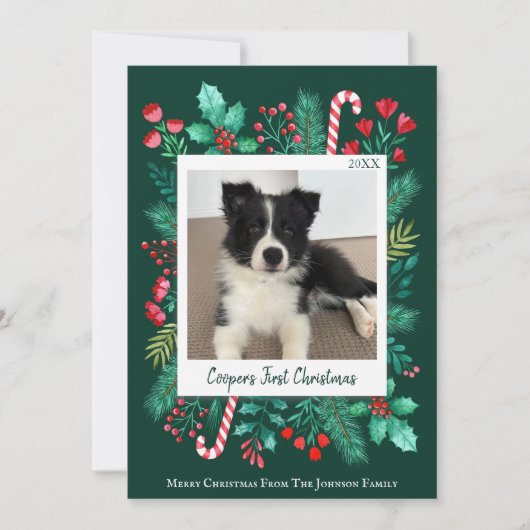 Donkergroene Puppy's Eerste Kerstdag Foto Feestdagenkaart (Voorkant)