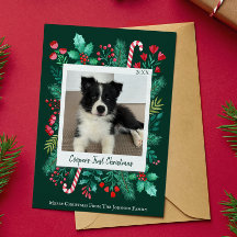 Donkergroene Puppy's Eerste Kerstdag Foto