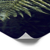 Donkergroene varen laat botanisch poster (Hoek)