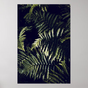 Donkergroene varen laat botanisch poster