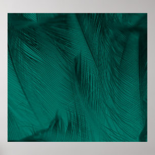 Donkergroene veren textuur poster
