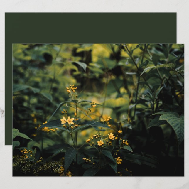 Donkergroene weide, natuurfoto Scrapbook Papier (Voorkant / Achterkant)