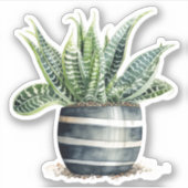 Donkergroene Zebra Haworthia Plant Vinyl Stickers (Voorkant)