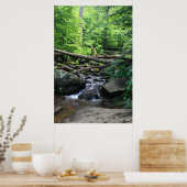 Donkerholle Herfsten #4904 Poster (Keuken)