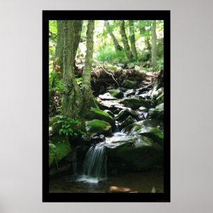 Donkerholle Herfsten Print #4836