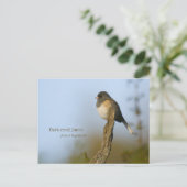 Donkerogige Junco Briefkaart (Staand voorkant)
