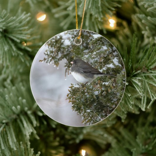 Donkerogige Junco | Keramisch Ornament (Boom)