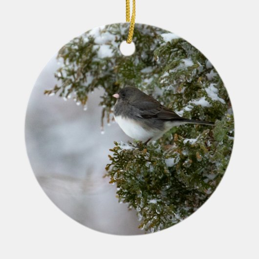 Donkerogige Junco | Keramisch Ornament (Voorkant)