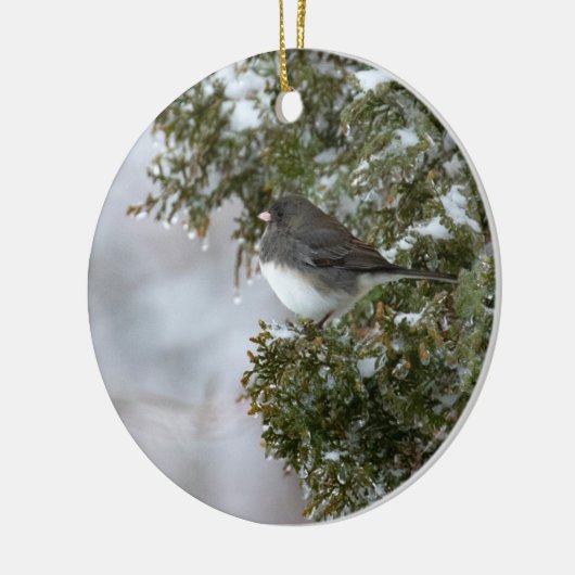 Donkerogige Junco | Keramisch Ornament (Links)