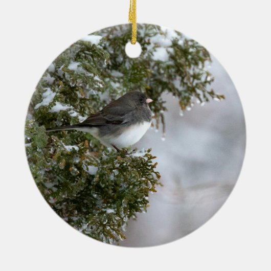 Donkerogige Junco | Keramisch Ornament (Achterkant)