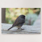 Donkerogige Junco Legpuzzel (Horizontaal)