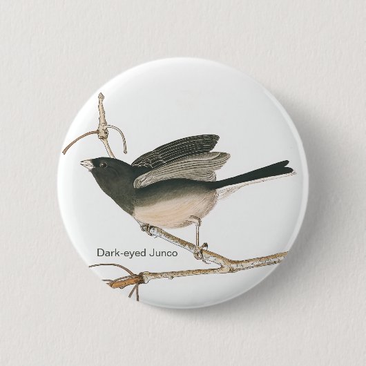 Donkerogige Junco, leisteen gekleurde audubon Bird Ronde Button 5,7 Cm (Voorkant)