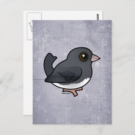 Donkerogige Junco (leisteenkleurig) Briefkaart (Voorkant / Achterkant)