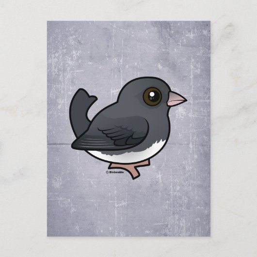 Donkerogige Junco (leisteenkleurig) Briefkaart (Voorkant)
