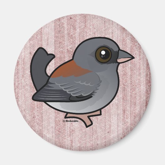 Donkerogige Junco (met rode rug) Magneet (Voorkant)
