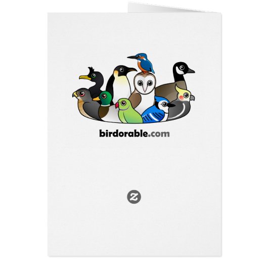 Donkerogige Junco (Oregon) (Achterkant)