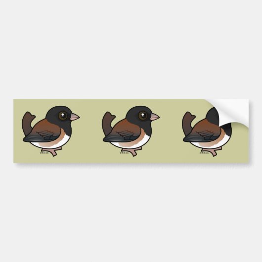 Donkerogige Junco (Oregon) Bumpersticker (Voorkant)