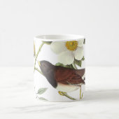 Donkerogige Junco van Audubon Koffiemok (Center)