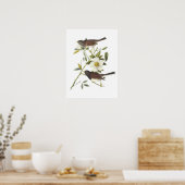 Donkerogige Junco van Audubon Poster (Keuken)