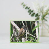 Donkeroogige junco briefkaart (Staand voorkant)