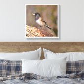 Donkeroogige Junco Canvas Afdruk (Insitu (Slaapkamer))