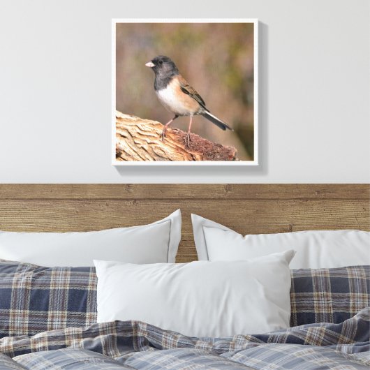 Donkeroogige Junco Canvas Afdruk (Insitu (Slaapkamer))