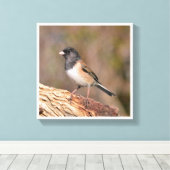 Donkeroogige Junco Canvas Afdruk (Insitu (Houten vloer))