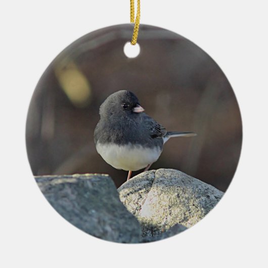Donkeroogige junco keramisch ornament (Voorkant)