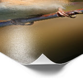 Donkeroogige Junco op een ledemaat Foto Afdruk (Hoek)