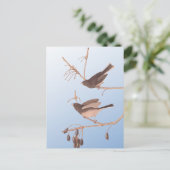 Donkerooige Junco Audubon-sneeuwvogels op de bakaf Briefkaart (Staand voorkant)