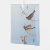Donkerooige Junco Audubon-sneeuwvogels op de bakaf Glas Ornament (Voorkant links)