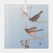 Donkerooige Junco Audubon-sneeuwvogels op de bakaf Glas Ornament (Voorkant)