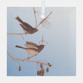 Donkerooige Junco Audubon-sneeuwvogels op de bakaf Glas Ornament (Achterkant)