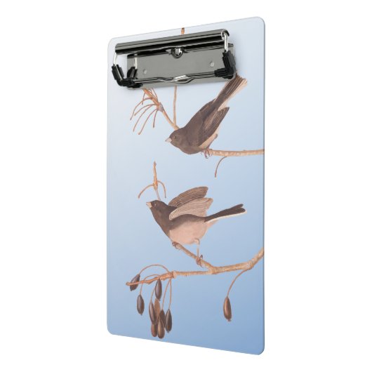 Donkerooige Junco Audubon-sneeuwvogels op de bakaf Mini Klembord (Angled2)