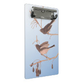 Donkerooige Junco Audubon-sneeuwvogels op de bakaf Mini Klembord (Schuin)